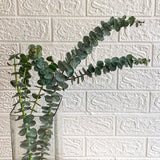 Simply Phoolish Flower stems 10 Stems Silver Dollar Eucalyptus