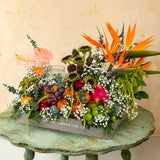 Simply Phoolish flower arrangement Spoil Your Sibling
