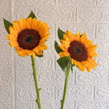 Simply Phoolish Flower stems Sunflowers