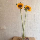Simply Phoolish Flower stems Sunflowers