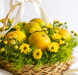 SimplyPhoolish flower arrangement Taste of Summer