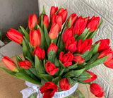 SimplyPhoolish Tulips Superbowl